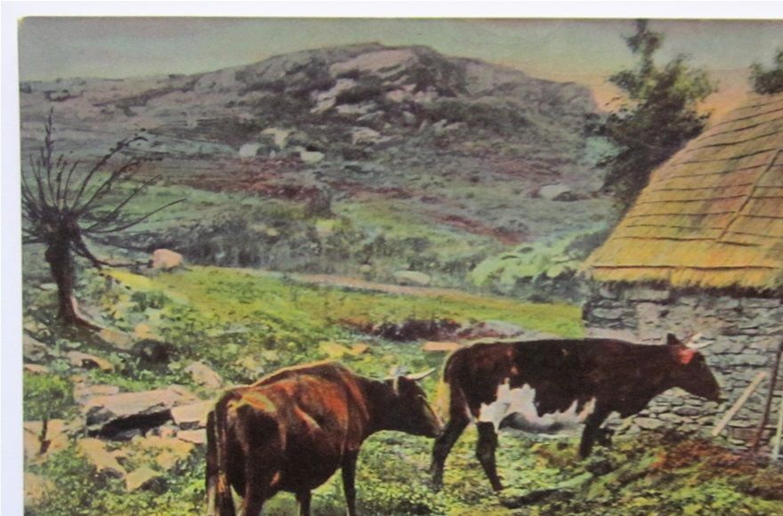 A Highland Cottage. A Tuck postcard.