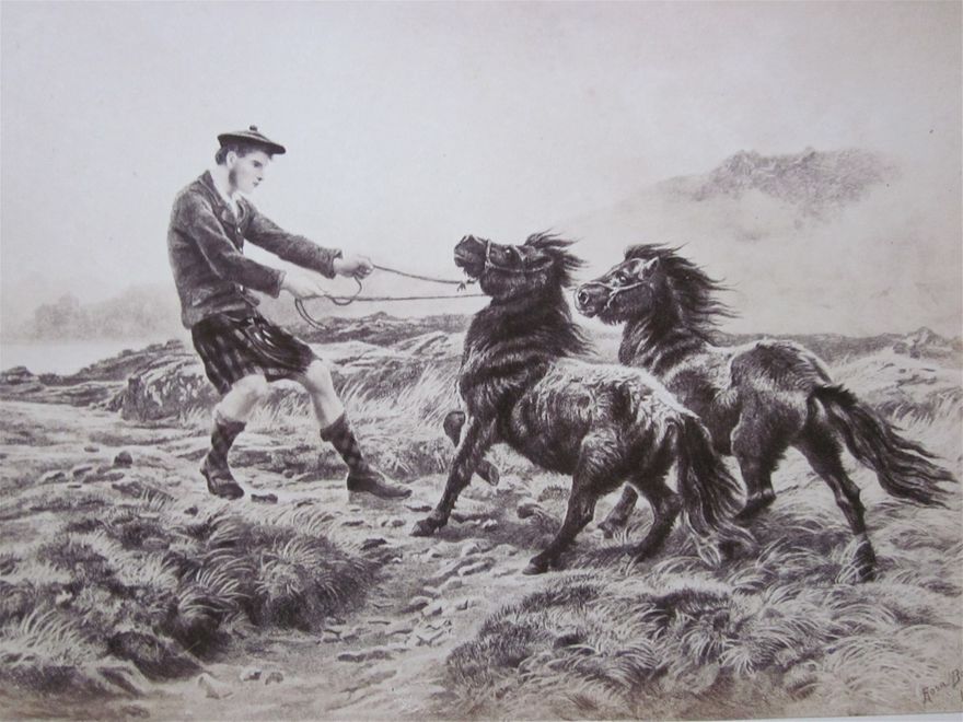 Highland Ponies, after a painting by Rose Bonheur.